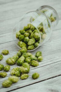 beer hops in a glass on wooden surface